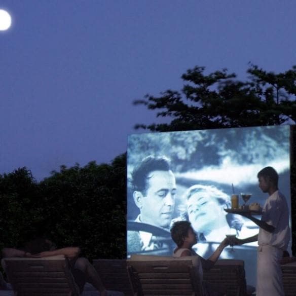 Cinema Under the Stars